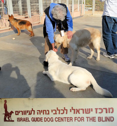 Guide Dog Center for the Blind